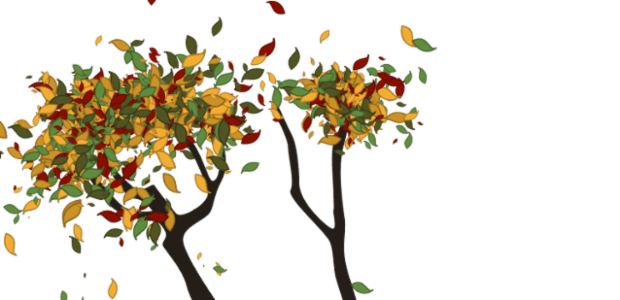 Tree created by anonymous