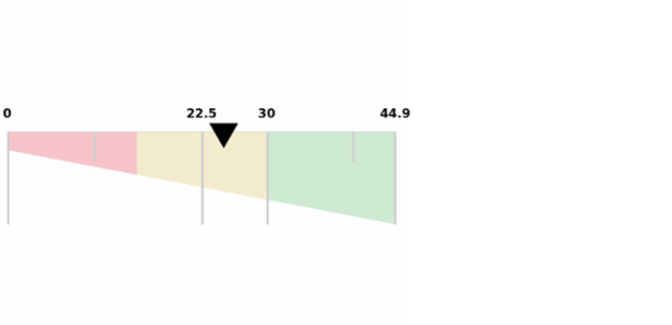 anychart.core.linearGauge.ScaleBar.points set created by anonymous