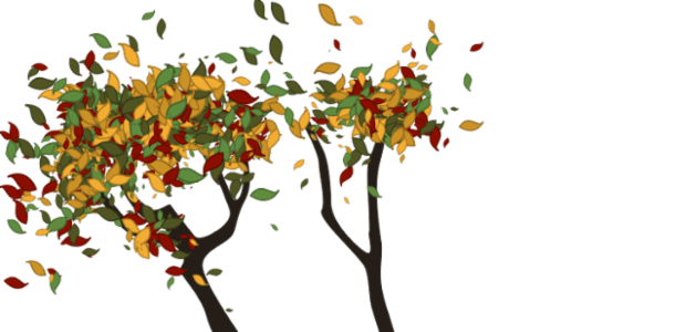 Tree created by anonymous