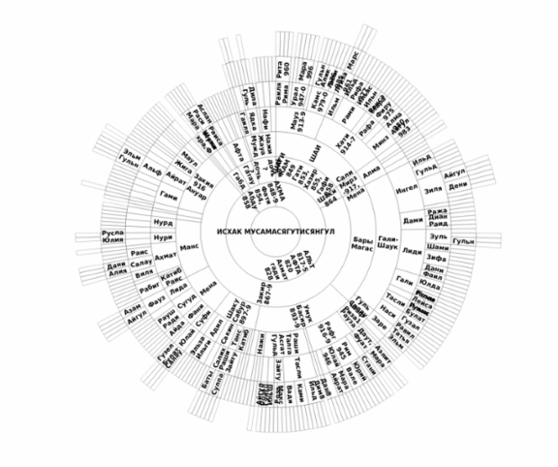 BCT Sunburst Chart 04 created by anonymous