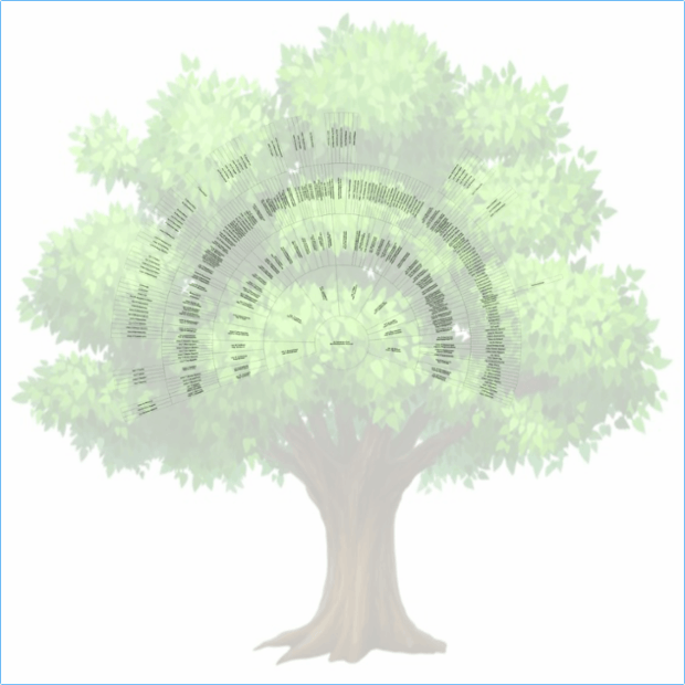 anychart.charts.Sunburst.fill set asImg created by anonymous