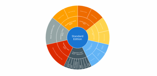 BCT Sunburst Chart 01 created by anonymous