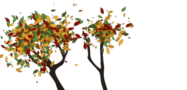 Tree created by anonymous