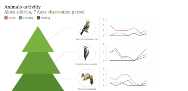 Animals Activity created by anonymous
