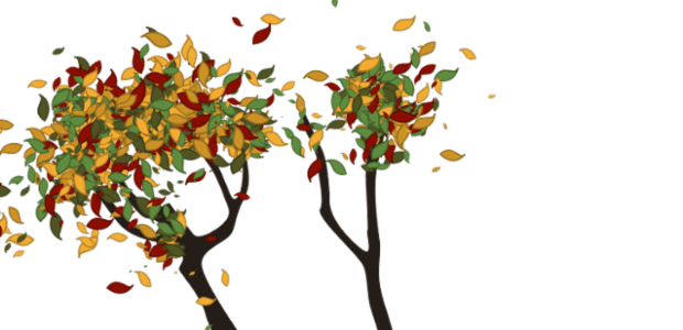 Tree created by anonymous