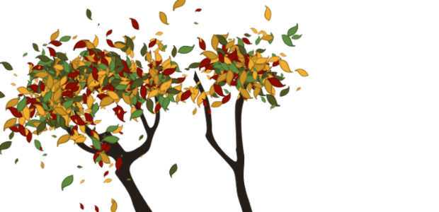 Tree created by anonymous